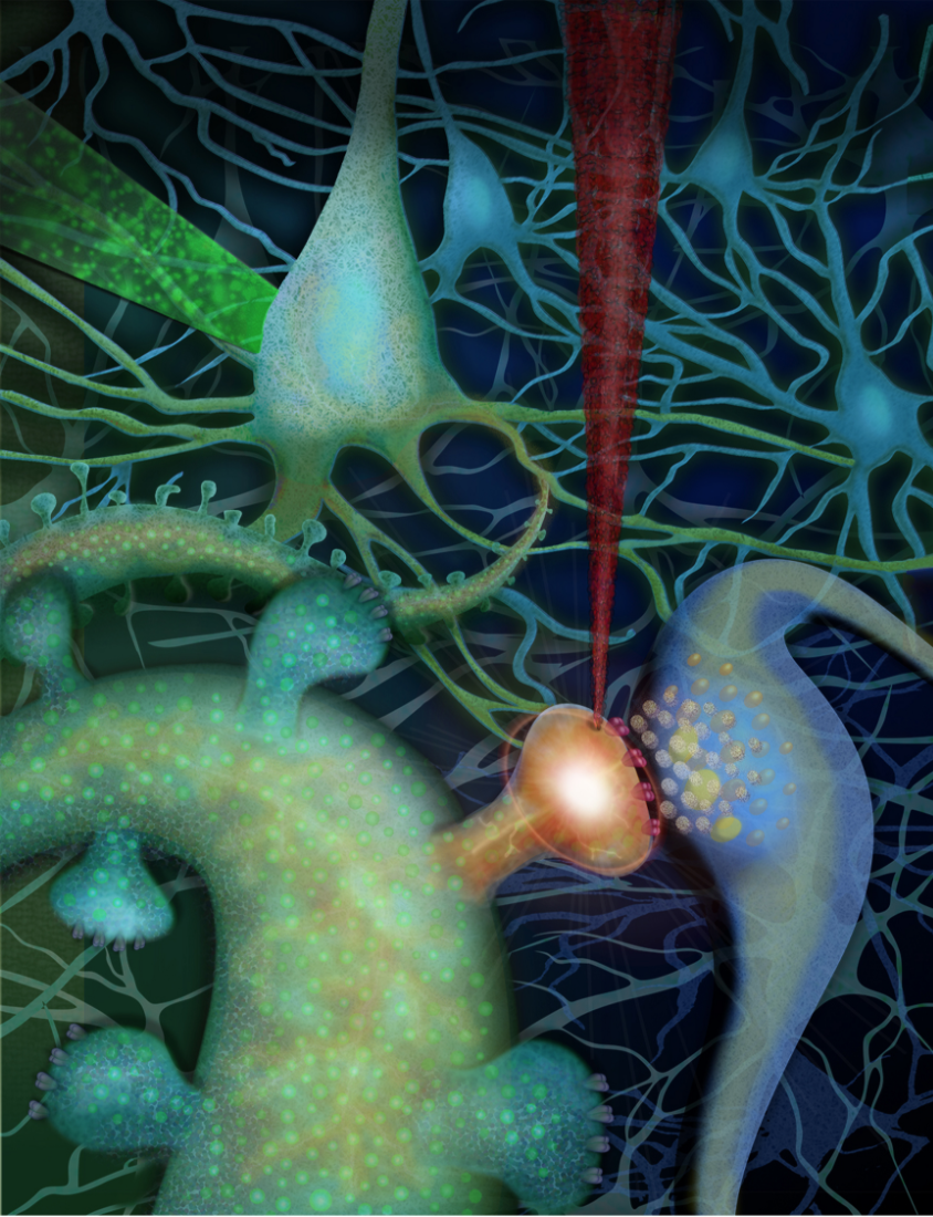 Screen Shot 2017-04-25 at 5.39.58 PM